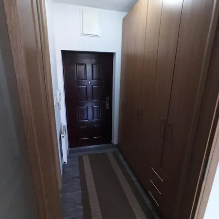 Avaz -